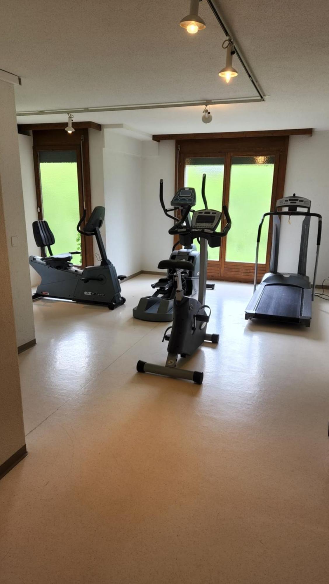 Solohike Mountainview Apartment Seelisberg Exterior photo